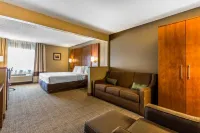 Comfort Inn Romeoville - Bolingbrook Hotels in Du Page Township