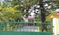 Tusti Greens Guest House,Guwahati