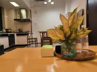 Lazy Cat Apartment (Shengli Road)