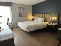 Best Western Plus Meadowlands Hotels in Secaucus