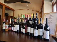 Pension Funwarikon Hotels in Susono