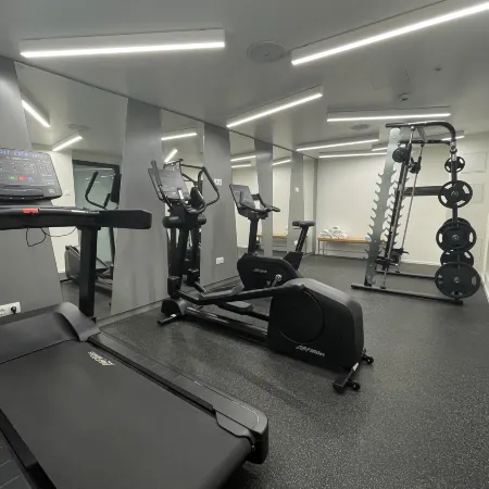 Holiday Inn DRESDEN - AM ZWINGER by IHG