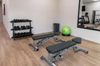 Drury Plaza Hotel Dallas Arlington - Gym