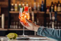 Holiday Inn ESTES PARK by IHG - bar