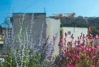 The Residence Christokopidou Hotel & Spa Hotel in zona Avlitis Art