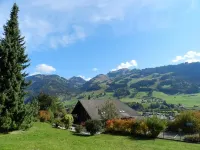 Fink Hotels in Zweisimmen