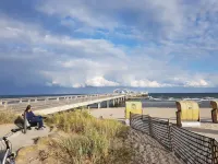 Apartment (W5) between forest and waves Hotels in Kellenhusen