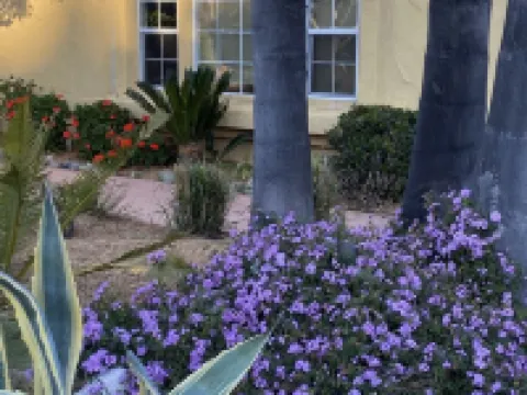 Cactus Garden Cottage…Best Location!! フォールブルックのホテル