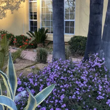 Cactus Garden Cottage…Best Location!!