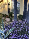 Cactus Garden Cottage…Best Location!!