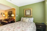 Beach lover's paradise Hotels near Navarre Beach Sea Turtle Conservation Center