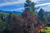 Comfortable 2 room apartment only 200 meters from the valley station. Hotels in Bad Kohlgrub