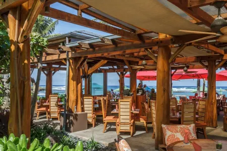 Design Meets Aloha: Spacious Turtle Bay Retreat