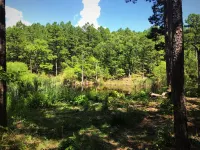 Ticket to the great outdoors!