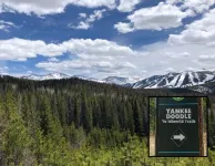 FIRESIDE MOOSE CONDO - Winter Park, Walk to Town