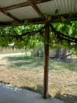 Private self-contained Cottage on working farm in Undera, Northern Victoria.