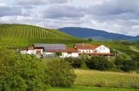 Vacation at the winery