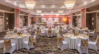 Hilton Tampa Airport Westshore