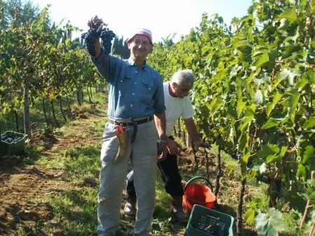 Vacation in a former 14th century monastery - L'olivo apartment