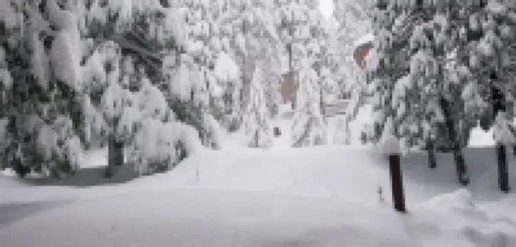 Nature Lover's Paradise: Luxurious The Shire - Cubs Crossing Chalet in Sierras