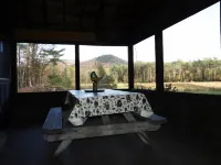 Hand-Crafted Cottage near Gore Mountain and Minerva Lake