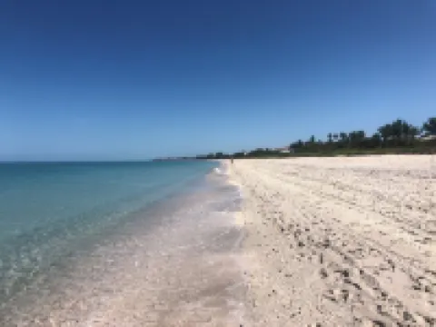 SunCoast Garden Family Retreat-Beautiful Vacation Home with Heated Pool.