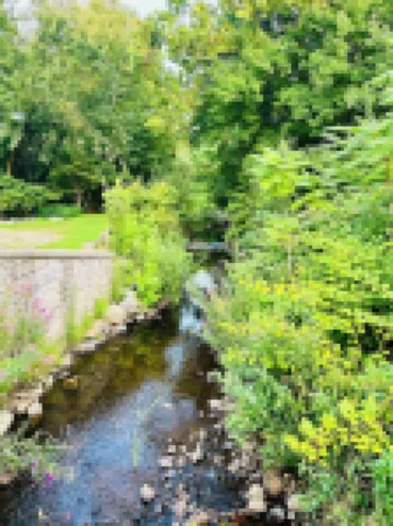 The little Chestnut.  A charming historic apartment in Downtown Chester