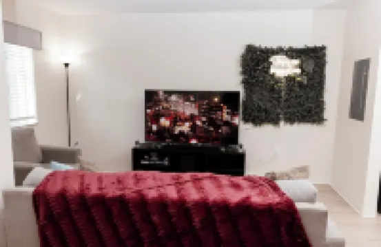 Cozy 1-bedroom Modern Apartment: Central to Raleigh, Durham, Chapel Hill