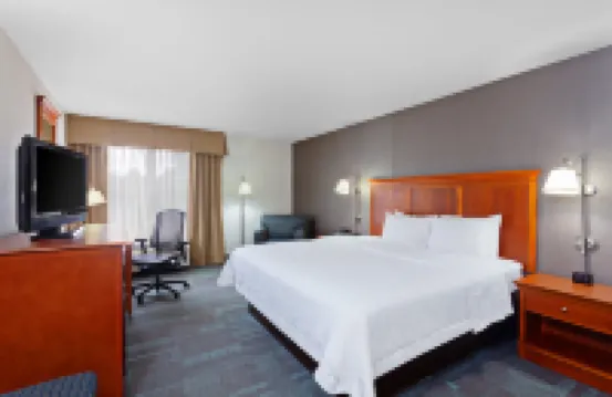 聖迭戈聖馬科斯希爾頓歡朋酒店