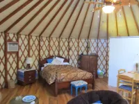 Yurt Floating in the Forest