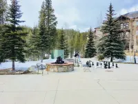 One Bedroom One Bath March 20 and 21 Two Nights 2024