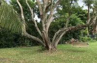 Oak Hill Oasis - Tropical Villa & Salt Pool - BB&T Center, Everglades & Beaches