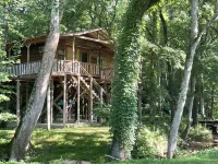 Papa Bears Cozy Cabin at Up The Creek