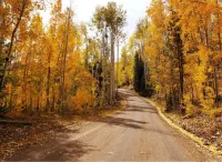 Dream for Hiking, Star Gazing, Fishing, Lakes & Hunting - 2 Night Minimum