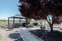 The Pinot Paradise Experience.