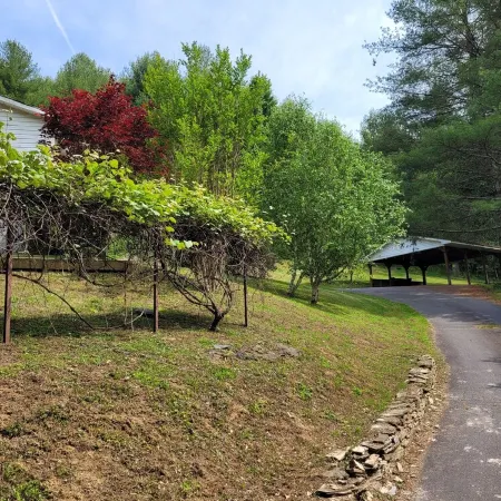 Peaceful creek side getaway nestled in the Blue Ridge Mountains