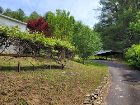 Peaceful creek side getaway nestled in the Blue Ridge Mountains