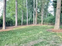 3BR Mid-Century Modern in Downtown Cary!