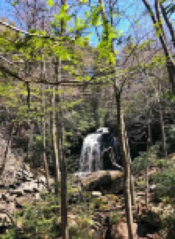 Trails Head Cabin
