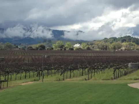 Available * Downtown Napa- Beautifully Remodeled --2Bedroom 2 Bathroom Home