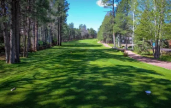 CUSTOM BUILT HOME IN THE HEART OF PINETOP- FENCED-PETS WELCOME
