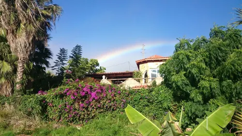 Apartment in country house with tropical garden and pool 2 bedrooms