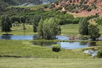 Homestead on the Frying Pan River, An Outdoor Enthusiasts' Dream!