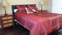 Newer 2000 plus sq ft Apartment Bring your Pets and Toys