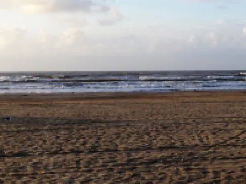 Pointe West BEACHFRONT next to dune walkover! - 4 bed 4 bath