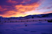 Unique 40 AC Horse Friendly Ranch Renovated 1850 Miners Cabin w/3000 SF Addition - 4つ星