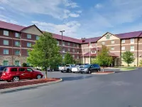 Homewood Suites by Hilton Cincinnati Airport South-Florence - parking