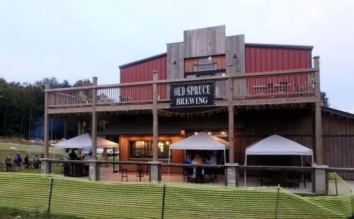 Architectural marvel w/firepit, hot tub, prime location, lounge & bar rooms! Hotels in Pocahontas County