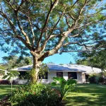 Noosa Buoys