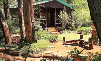 Woodland Gardens Pet Friendly Lodge